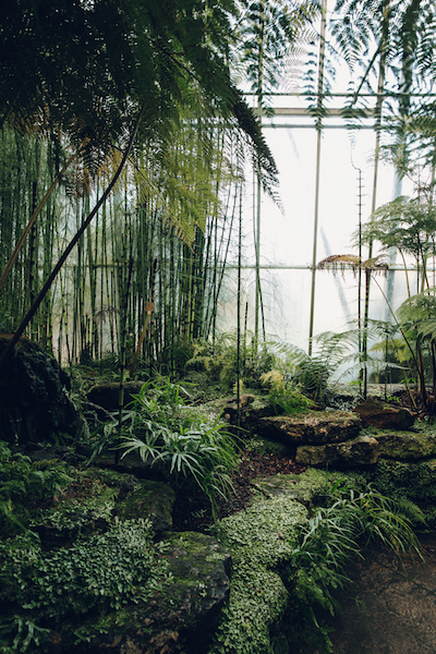 Postcard from Edinburgh