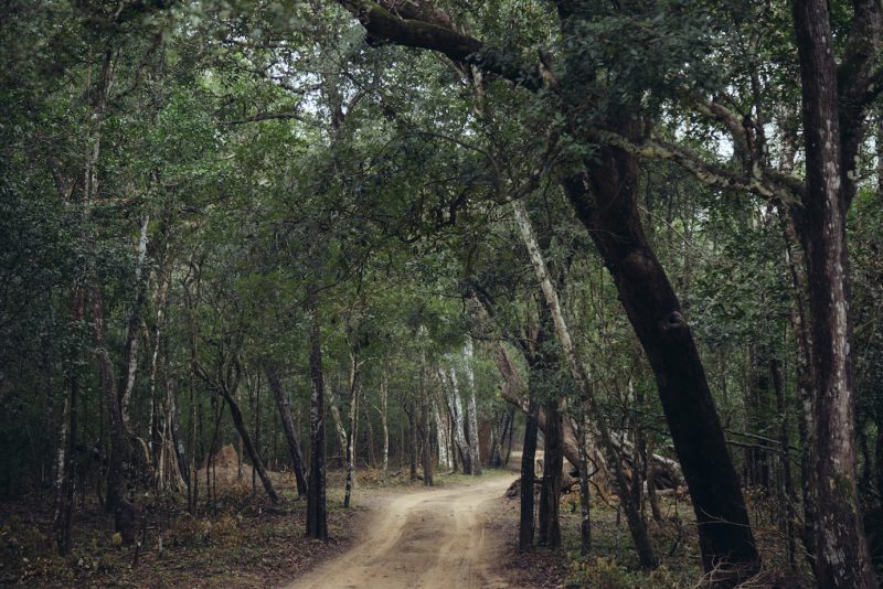 Nicobar's Guide to Sri Lanka