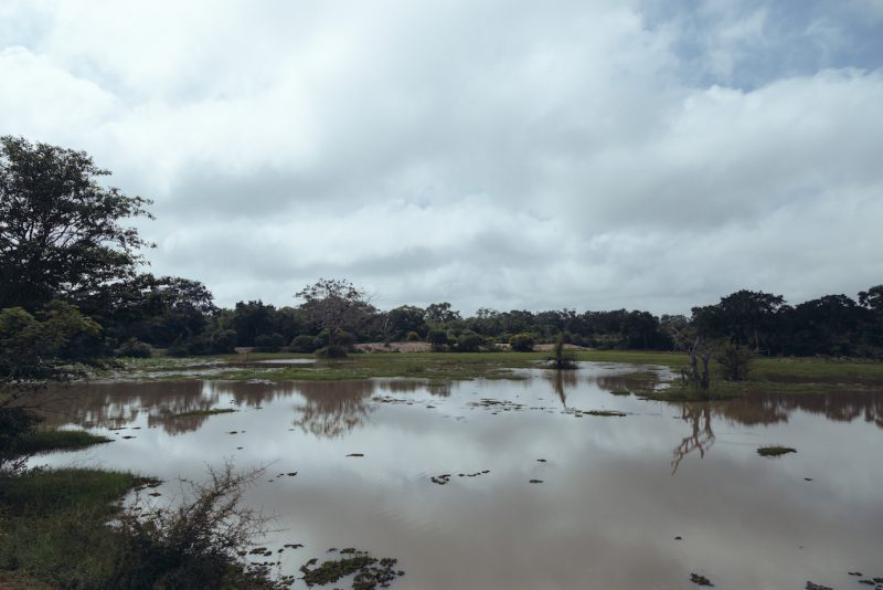 Nicobar's Guide to Sri Lanka