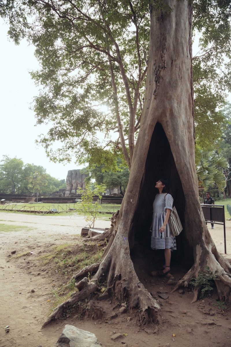 Nicobar's Guide to Sri Lanka