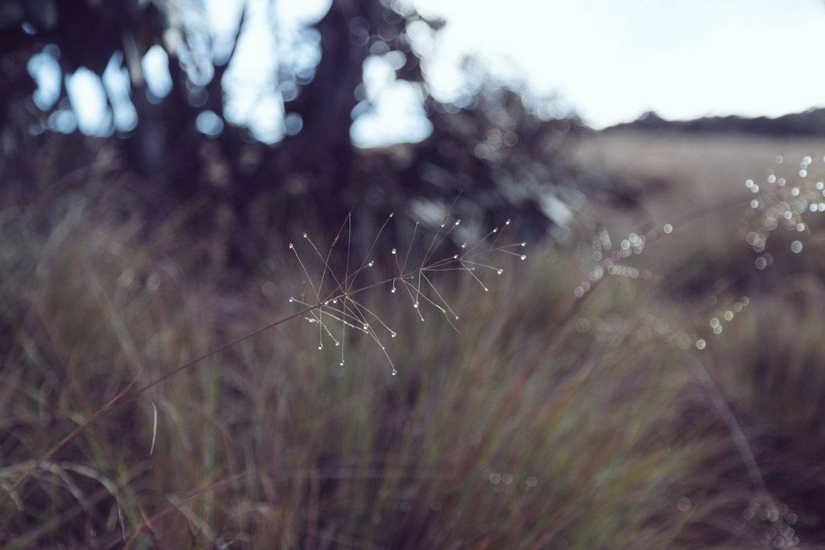 Nicobar's Guide to Sri Lanka