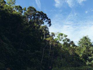 Nicobar's Guide to Sri Lanka