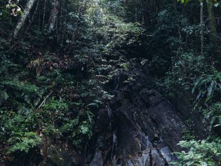 Nicobar's Guide to Sri Lanka