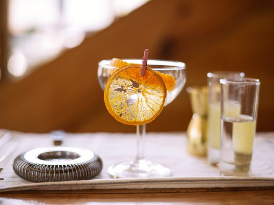 nico journal full moon martini